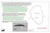 car07 mas afuera_thumb.gif